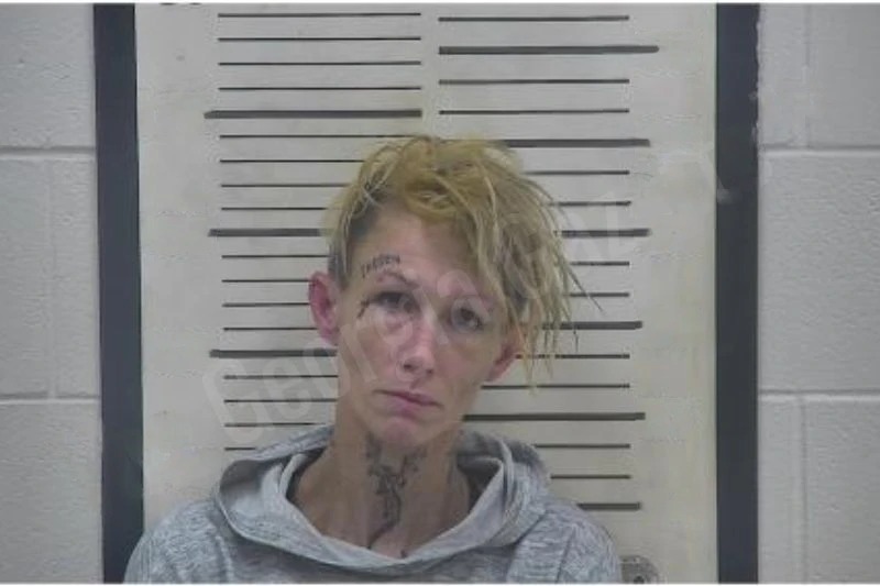 Linda Steedley-Crews Mugshots