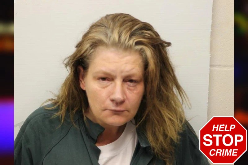 Lindsay Collins Mugshots