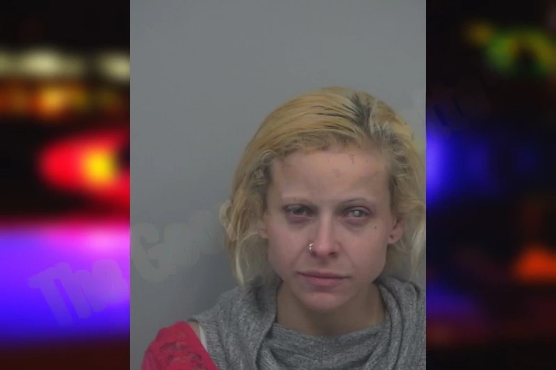 Lindsay Sablon mugshot