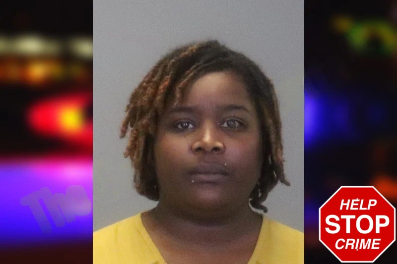 Lindsey Newsome Mugshots