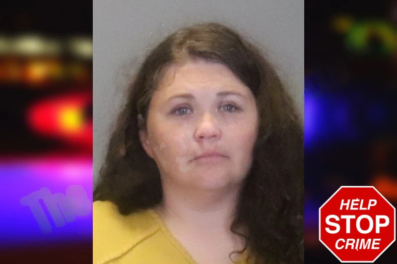 Lindsey Pitts Mugshots