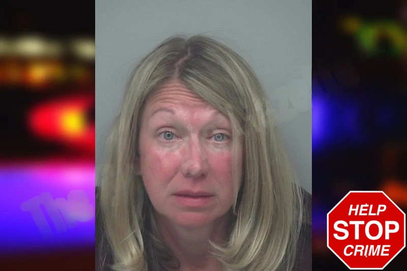 Lindsey Sarris Mugshots