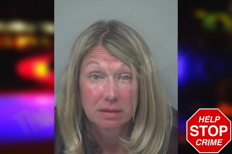 Lindsey Sarris Mugshots