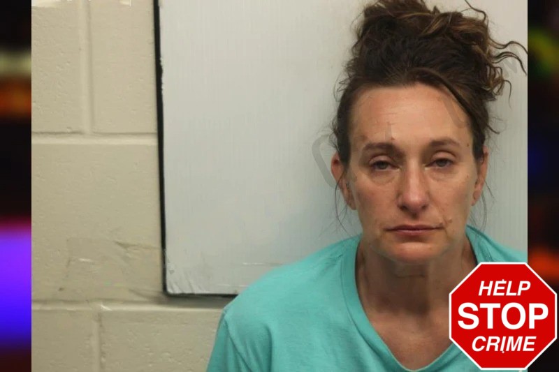 Linsey Hale Mugshots