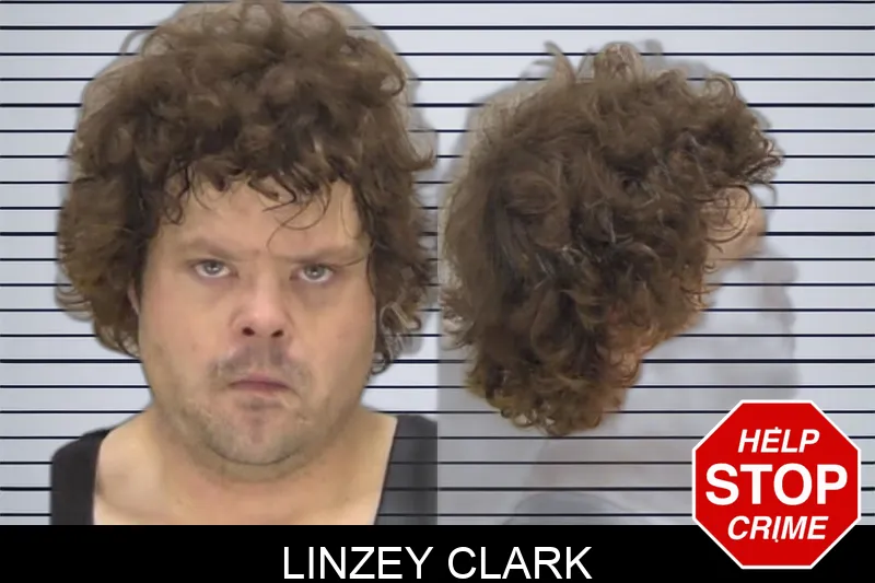 Linzey Clark Mugshots