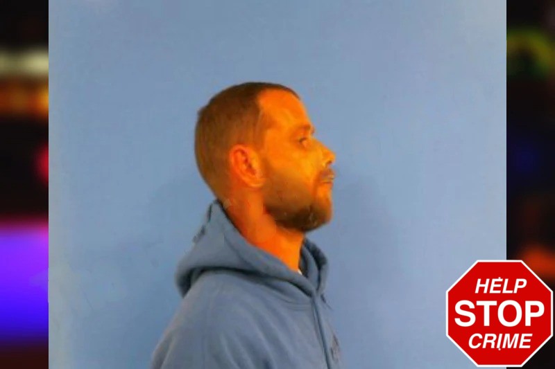 Linzie Downey Mugshots