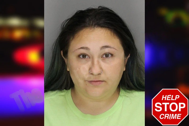 Lisa Amodeo Mugshots