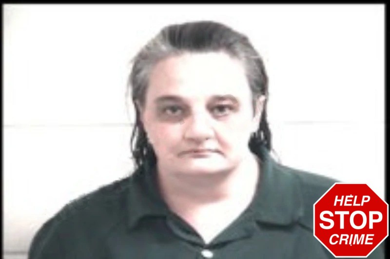 Lisa Buffington Mugshots