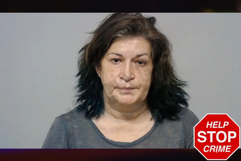 Lisa Bush Mugshots