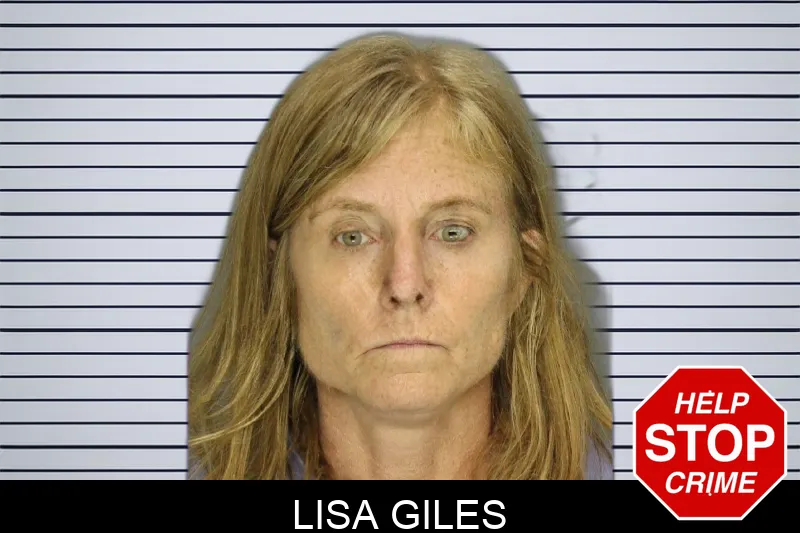 Lisa Giles mugshot
