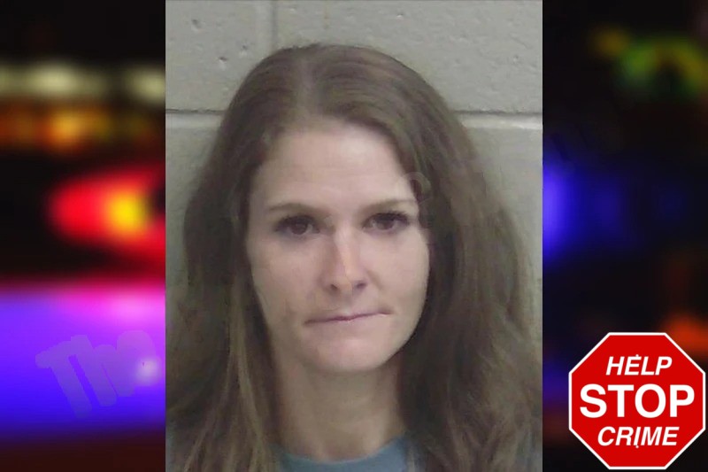 Lisa Graham Mugshots