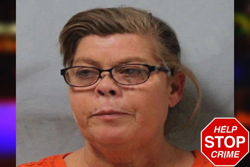 Lisa Joiner Mugshots