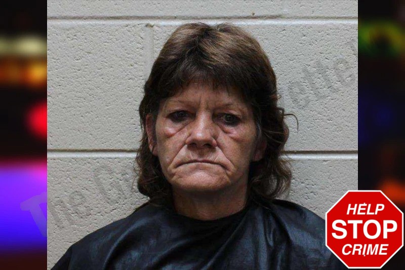 Lisa Pierce Mugshots