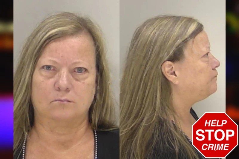 Lisa Williams Mugshots