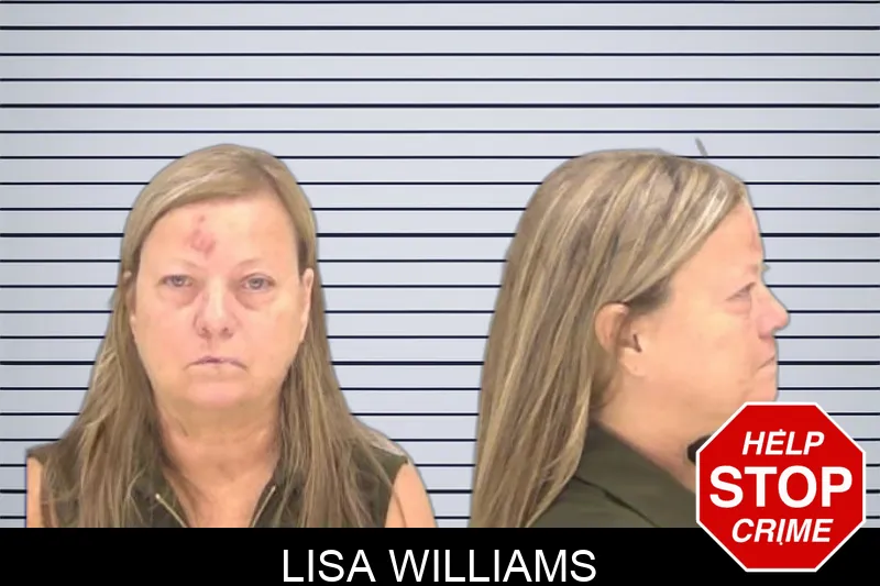 Lisa Williams Mugshots