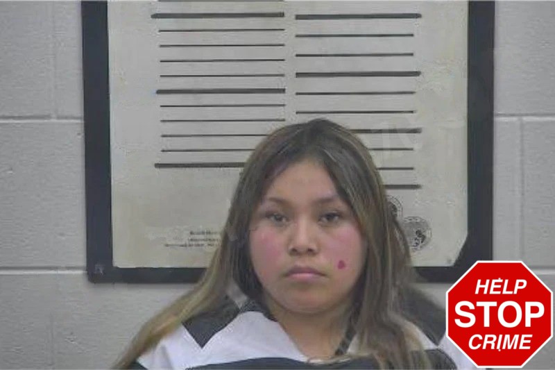 Lizeth Jimenez Mugshots