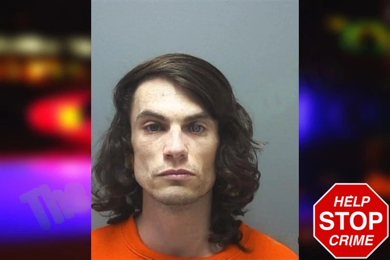 Logan Kerzie mugshot