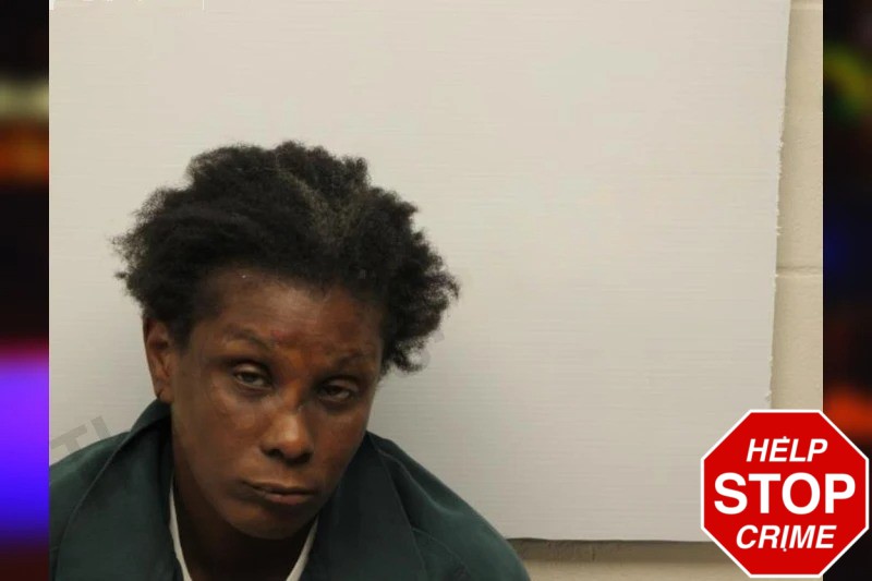 Lonnica Hunter Mugshots