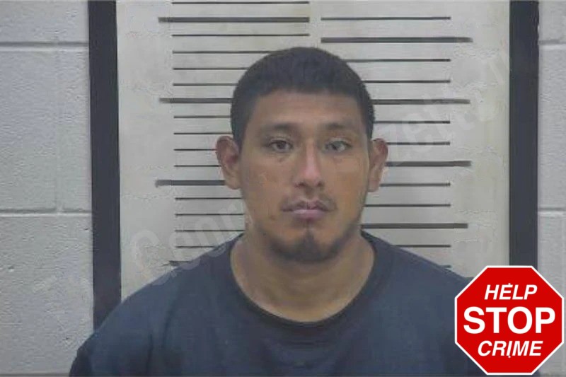 Lucas Bersain Mugshots