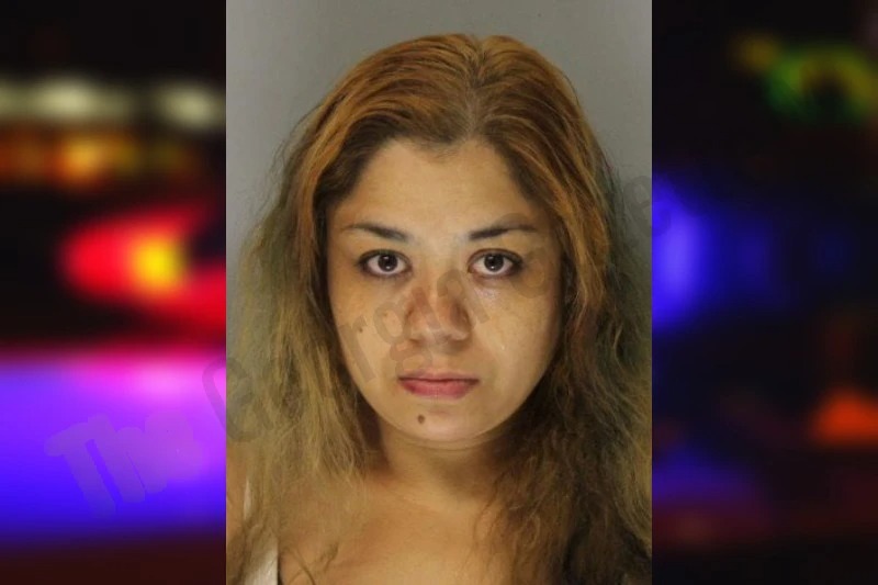 Lucero Barrios Ibarra Mugshots