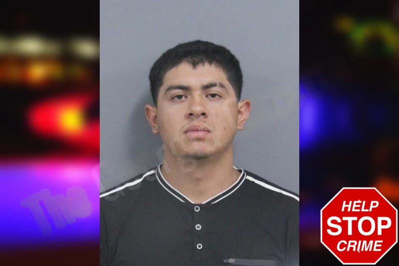 Ludelmar Sanchez De Leon Mugshots