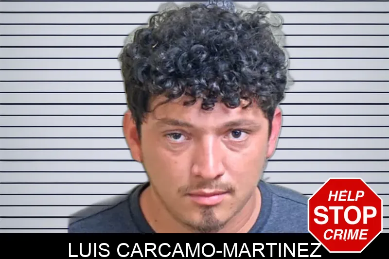 Luis Carcamo-Martinez Mugshots