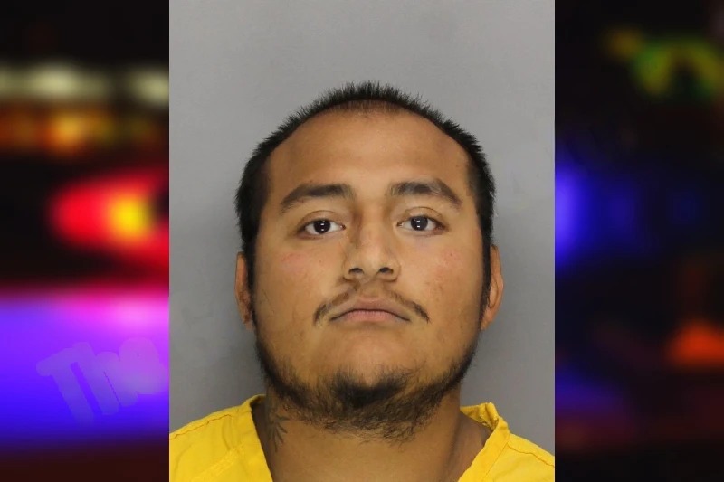 Luis Gonzales Mugshots