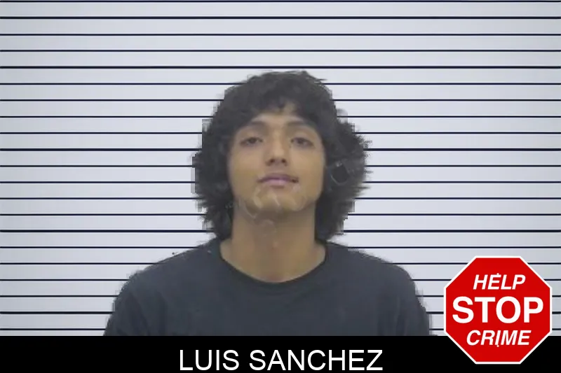 Luis Sanchez Mugshots