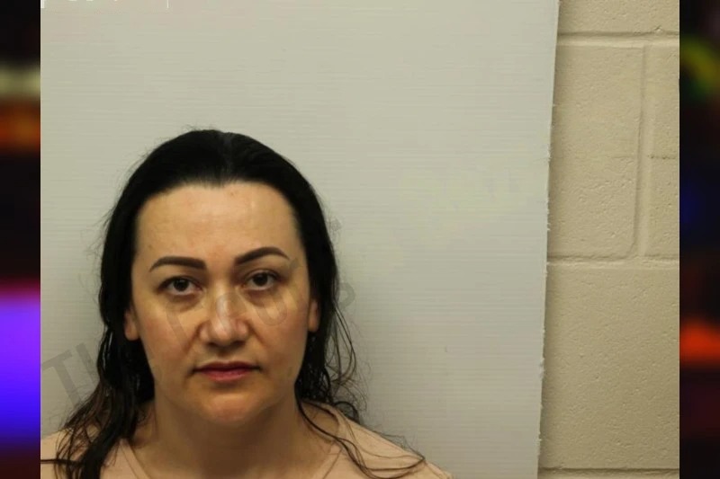 Luz Perez-Sanchez Mugshots