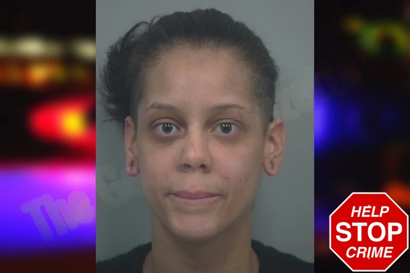 Luz Quinones Rosario Mugshots