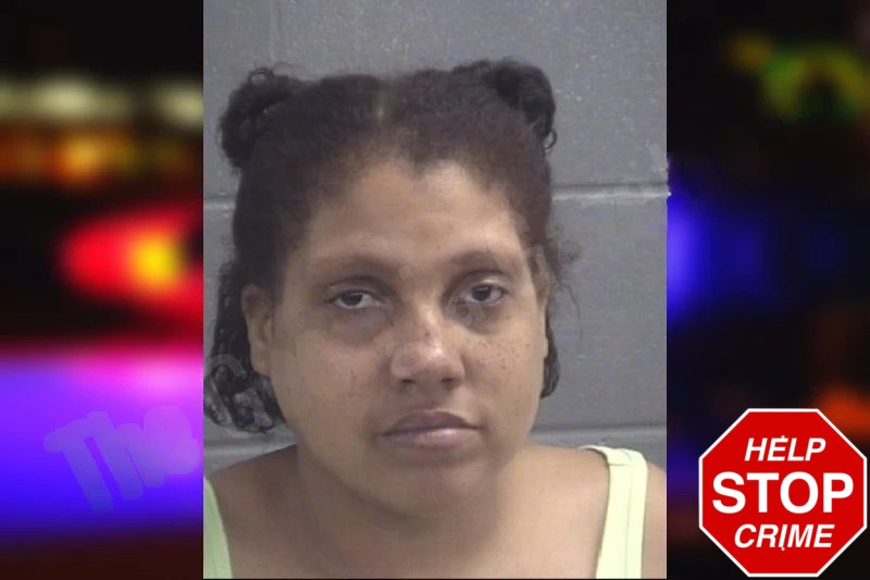 Luzdelia Perez-Ozorio Mugshots