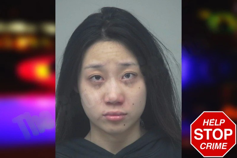 Lydia Chang mugshot – Gwinnett County , Georgia Lydia Chang mugshot