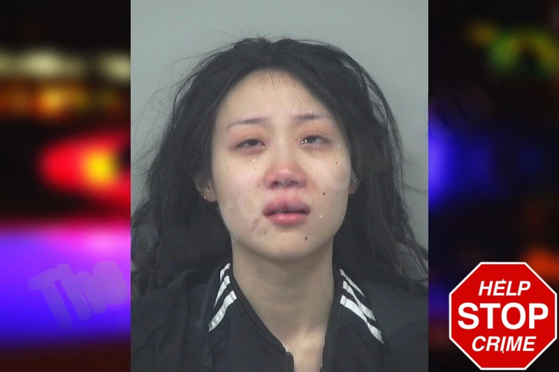Lydia Chang mugshot