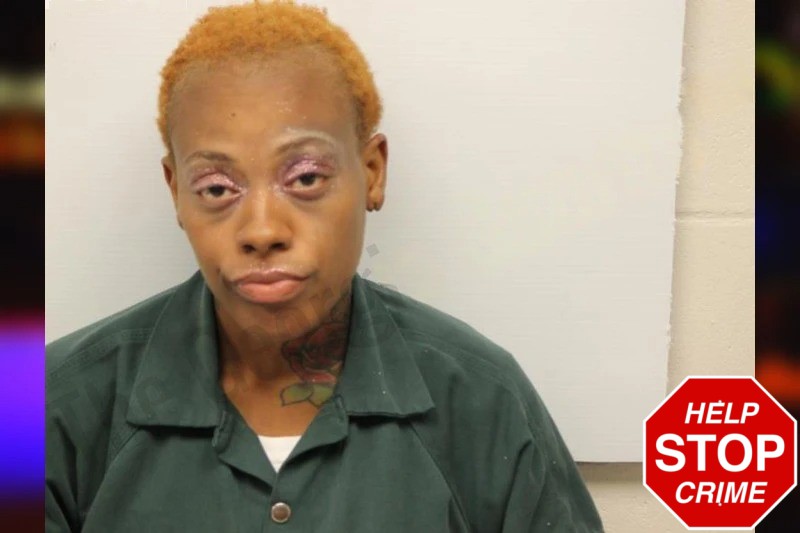 Lydia Towers Mugshots