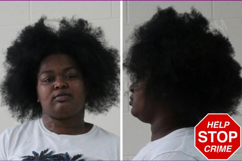 Lyliasiah Dugger mugshot – Houston County , Georgia Lyliasiah Dugger mugshot