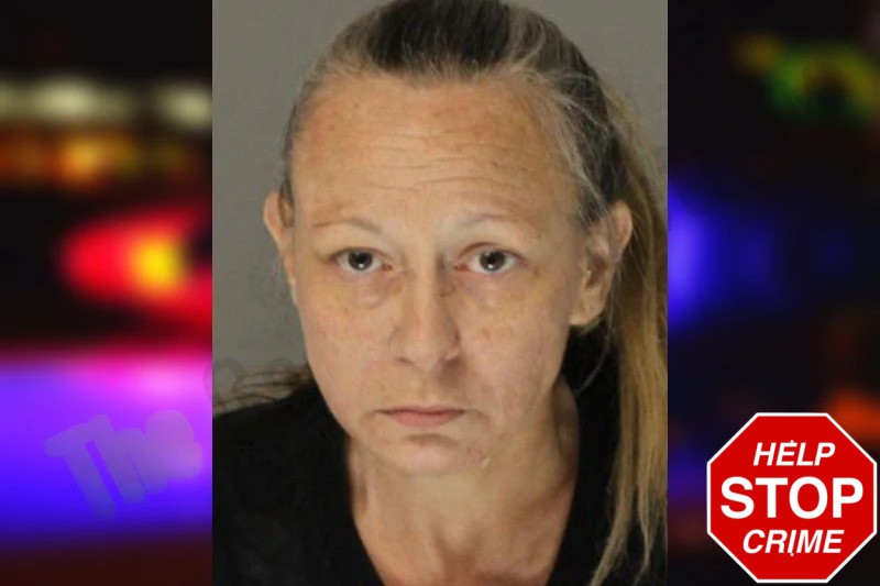 Lynda Bobish mugshot