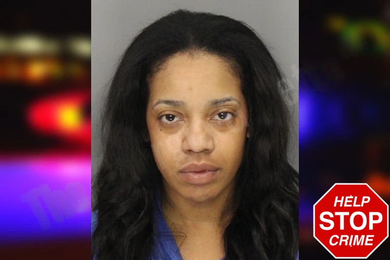 Lyndsey Jones mugshot – Cobb County , Georgia Lyndsey Jones mugshot