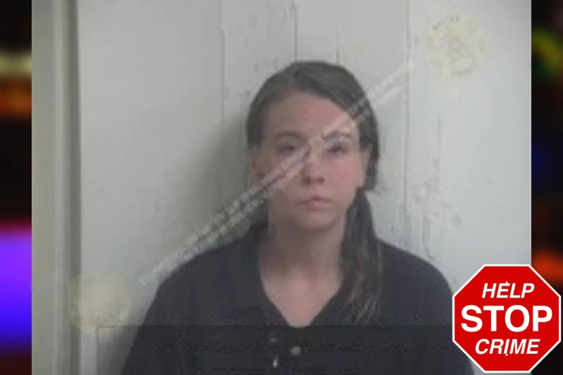 Lyndsey Wages Mugshots