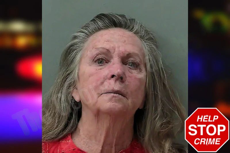 Lynita Seelie Mugshots