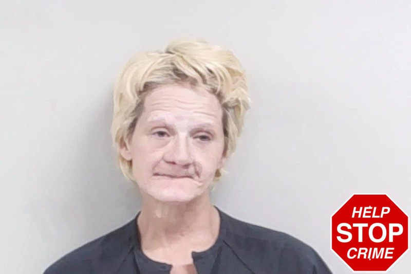 Lynn Aldridge Mugshots