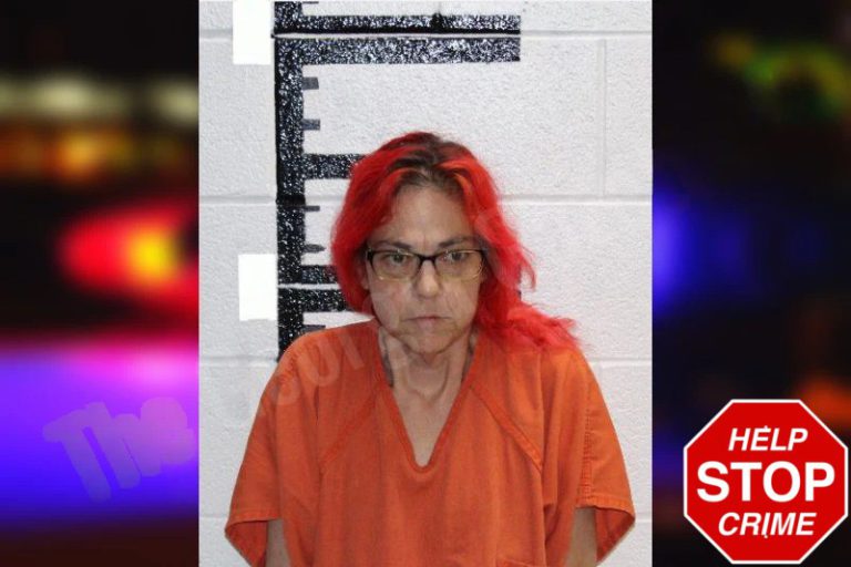 Lynn Draper mugshot – Murray County , Georgia Lynn Draper