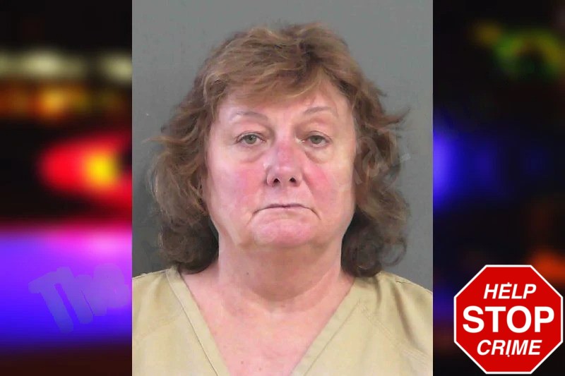 Lynn McDonald mugshot