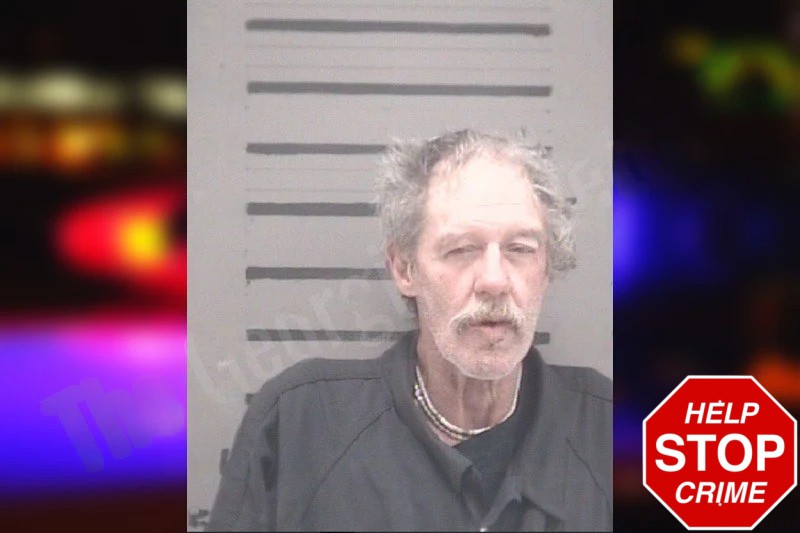 Lynn Roberts Mugshots