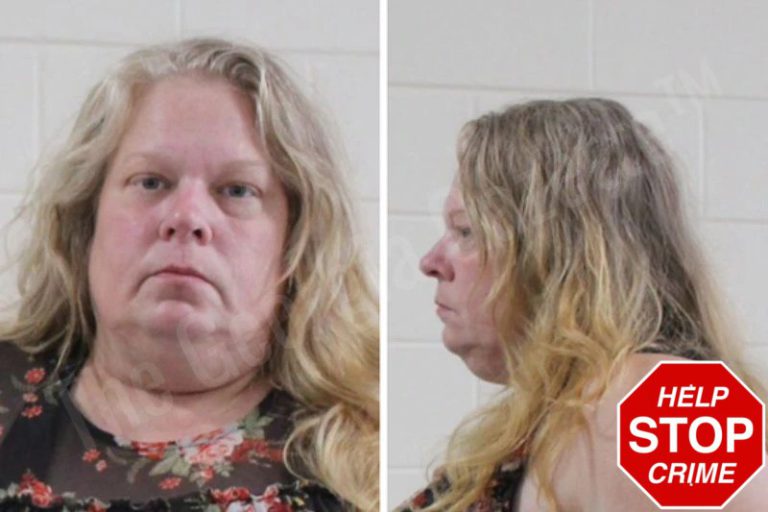 Lynne Holman mugshot – Houston County , Georgia Lynne Holman
