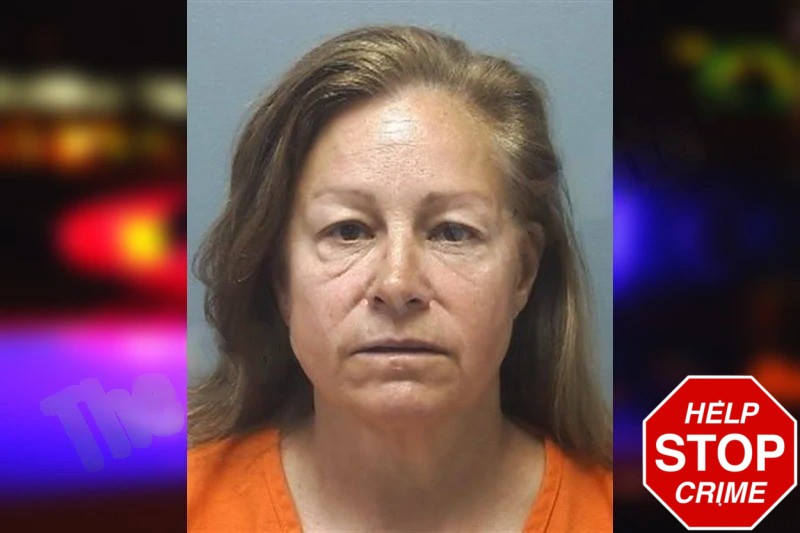 Lynne Lewis Mugshots