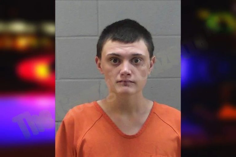 Mackenzie Starnes mugshot – Madison County , Georgia Mackenzie Starnes