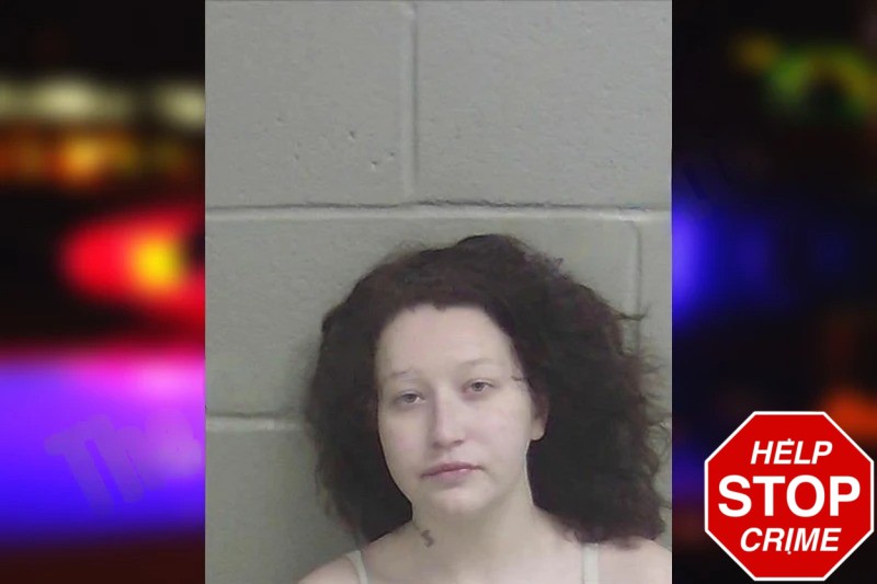 Mackenzie Winks mugshot – Wayne County , Georgia Mackenzie Winks mugshot