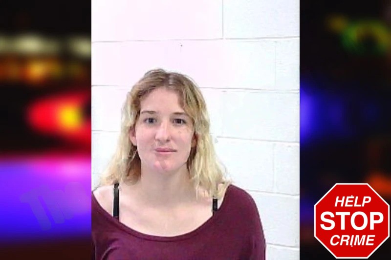 Madison Sosebee mugshot – Fulton County , Georgia Madison Sosebee mugshot