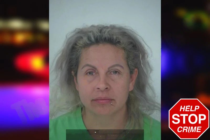 Magarita Salinas-Trujillo mugshot
