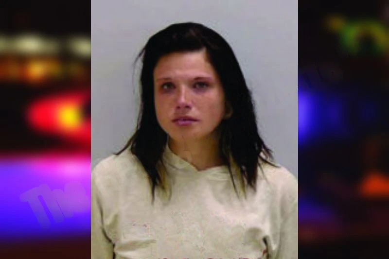 Maggie Mason mugshot – Bartow County , Georgia Maggie Mason mugshot